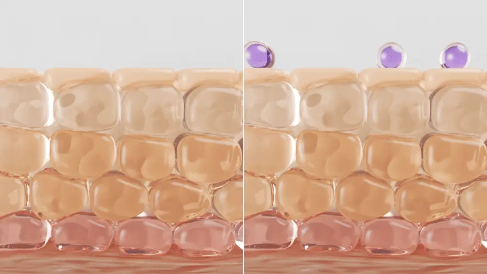 [잡티미백케어] 성분에디터 머루포도 비타씨 다크 스팟 앰플 40ml 더블기획 상세페이지 39